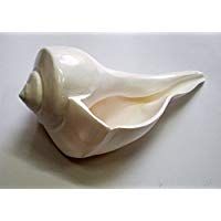 Indian Handicrafts Export Bathing Conch Shell/Shankh