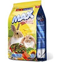 Mejores ardillas