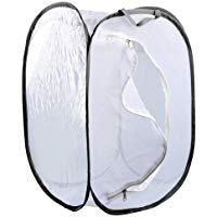 Mejores mariposas