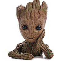 Mejores recipientes-para-plantas-y-accesorios