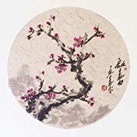 KZ154 Hmay Jingxian Raw Xuan Paper Pre-mounted On Soft Card / Chinese Shikishi for Sumie Painting and Brush Calligraphy 10 Sheets Mixed Package (Square 33 cm)