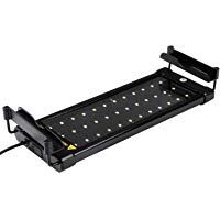 Mejores luces-para-acuarios
