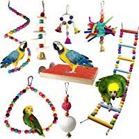 Mejores jaulas-y-accesorios
