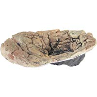 Mejores platos-para-terrarios