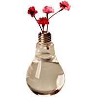 Chytaii. Jarr&oacute;n de Flores Florero de Bombilla de Vidrio Espesado Transparente Maceta Flor para Colgar Decoraci&oacute;n de Flores Plantas Recipiente Colgante de Flor de Planta Decoraci&oacute;n del Jard&iacute;n 14 * 8CM