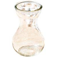 Chytaii. Jarr&oacute;n de Flores de Plantas Acu&aacute;ticas Florero de Vidrio Espesado Transparente Maceta Flor para Colgar Decoraci&oacute;n de Flores Plantas Jarr&oacute;n de Cristal Decoraci&oacute;n del Jard&iacute;n/Hogar 14.5 * 7.5CM