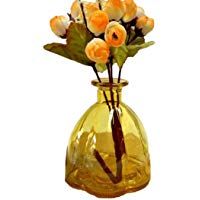 Chytaii. Jarr&oacute;n de Flores Florero de Vidrio Calabaza Vintage Maceta Flor para Colgar Decoraci&oacute;n de Flores Plantas Decoraci&oacute;n de Escritorio Sencilla Contenedor de Flores Secas Colorido 10 * 10.9CM