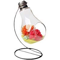Hosaire 1X Bombilla Florero de Vidrio Floreros de Terrario Lindas Macetas de Vidrio de Sobremesa para Decoraci&oacute;n del Hogar de Boda,Cuadrado Size 8.6 * 14CM