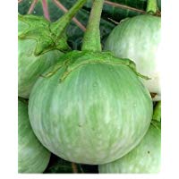 Mejores semillas-de-pomelo