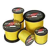 Mejores pesca