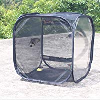 Insecto y mariposa H&aacute;bitat Jaula Terrario Incubadora de malla plegable Caja de almacenamiento Pa&ntilde;o Ventilar Insecto