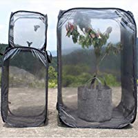 Insecto y mariposa H&aacute;bitat Jaula Terrario Incubadora de malla plegable Caja de almacenamiento Pa&ntilde;o Ventilar Insecto