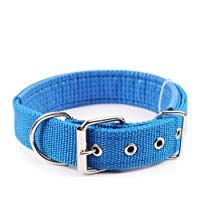 Mejores collarines