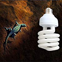 Bargain World 220v UVB reptil l&Atilde;&iexcl;mpara de calcio blanco cer&Atilde;&iexcl;mica emisor de luz fluorescente de cr&Atilde;&shy;a calienta la l&Atilde;&iexcl;mpara de vivero
