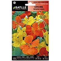 Mejores plantas-semillas-y-bulbos