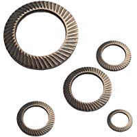 '20&nbsp;unidades Schnorr&reg; copias de seguridad de discos para M1,6&nbsp;hasta M30&nbsp;tipo s acero inoxidable A2