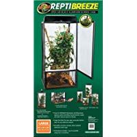 Mejores insectos