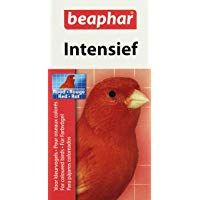 Mejores accesorios-para-bebederos