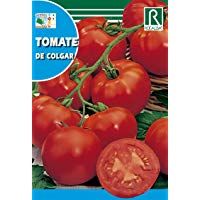 ROCALBA SEMILLA Tomate Colgar 10ud