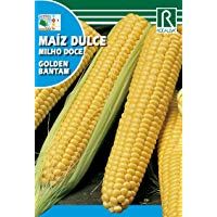 ROCALBA SEMILLA MAIZ Dulce G.Bantam 10ud