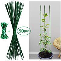 Mejores estacas-de-jardin