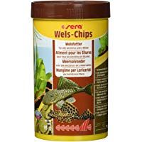 Mejores comida-para-peces-de-acuarios