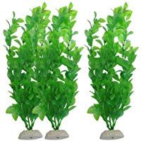 Mejores plantas-plasticas