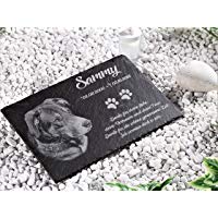 CHRISCK design 30&nbsp;x 20&nbsp;cm Placa Conmemorativa para Mascotas/Perro, Gato, Caballo, Grabado con Fotos y Texto Grabado&nbsp;&ndash;&nbsp;no impresi&oacute;n dise&ntilde;o de la una You Love
