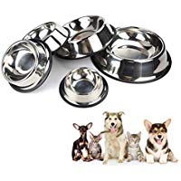 Beauty DIY Mart Taz&oacute;n Alimentaci&oacute;n para Perro, Cuenco de Acero Inoxidable Antideslizante Alimentador de Plato Agua Comida para Mascotas Gatos, L-26CM