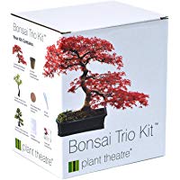 Mejores plantas-de-interior