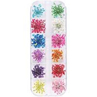 Secado de u&ntilde;as Decoraci&oacute;n Arte Conjunto de 24Pcs real Gypsophila de flores secas para la manicura del arte Flor Preservada u&ntilde;as de manicura ornamento del arte del clavo 3D Accesorios Kits de estilo 02