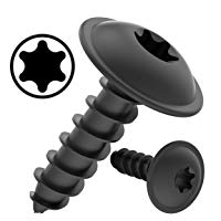 100 AUPROTEC Tornillos de chapa 4,8 x 16 mm TORX con cabeza de arandela tornillo alomado cincado negro DIN 7049 - 4,8 x 16 mm, 100 piezas
