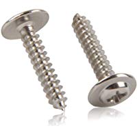 BOZEVON Tornillos Autorroscantes de Metal - Tornillos de Madera de Acero Inoxidable Phillips Cabeza Redonda 100 Piezas, M2*10 * 5 (100 Piezas)