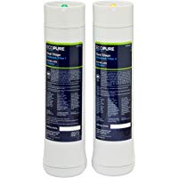 ECOPURE ECODWF1 previo y Posterior para Filtro de Doble Efecto, Blanco