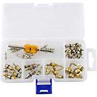 40 Piezas V&aacute;lvula Core Butt Cap Herramienta de Reemplazo de V&aacute;lvula de Aire Acondicionado HVAC R134a R12 Kit con Caja Port&aacute;til