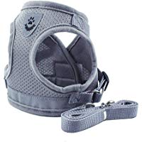 Lorsoul El Perro del arn&eacute;s del Chaleco Diario, Entrenamiento del Perro Que Camina Chaleco Ropa del Perrito Arn&eacute;s Chaqueta, para la peque&ntilde;a Meduim Perros Grandes - XS/S / M/L / XL, Plata