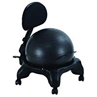 Silla de Oficina Pelota de Fitness Modelo de Respaldo Ajustable con Libre Bola de y DVD