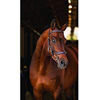 Horseware Rambo Micklem&nbsp;&ndash;&nbsp;Multi Bridle Black