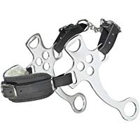 Busse Hackamore