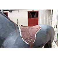 Azhan equipride Antideslizante Thor Equine tebps con cincha & Estribo