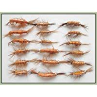 18&nbsp;camar&oacute;n Pesca de la trucha vuela Ninfa