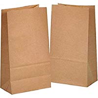 100 Piezas Bolsas Papel Kraft, Bolsas Papel Regalo,Bolsas Ecologicas para Fruta, Bolsas para Envolver Regalos para Chuches Semillas Etiquetas Palomitas Dulces Bocadillos