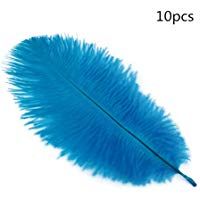 50pcs Plumas de Gallo Decoraci&oacute;n para Disfraces Hogar Bricolaje 12-18cm