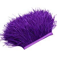 Plumas Flecos rosenice Fringe Trim para manualidades de costura para vestidos Disfraces Decoraci&oacute;n 2&nbsp;M (color morado)
