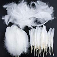 Plumas de Ganso, 250 pcs Blanco Natural Plumas de Gallo Manualidades Decoraci&oacute;n para Disfraces Hats, Hogar Bricolaje, Ropa Casa Fiesta (accesorio de disfraz)