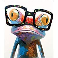 ERQINGSZH Pintura Digital Resumen Animales Rana con Gafas Cuadro De Pintura Al &Oacute;leo por N&uacute;meros M&oacute;dulo Imagen para Colorear A Mano Decoraci&oacute;n del Hogar