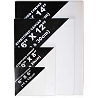 Set 4 Lienzos Pre Estirados Con Cu&ntilde;as de Madera para Pintura por Belle Vous - Varios Tama&ntilde;os - Set Lienzos Listos para Pintar - Perfectos para Obras de Arte al &Oacute;leo - Tensi&oacute;n Ajustable