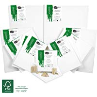 Artina Akademie FSC Set de 12 Lienzos con Bastidor - 30x40 cm, 20x20 cm, 20x30 cm, 40x60 cm - 100% Algod&oacute;n 280g/m&sup2;