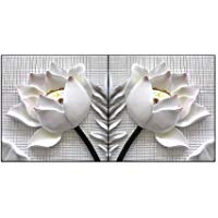 bfcy Art- 2 piezas blanco de flor de loto de pared Moderno Arte impresi&oacute;n sobre lienzo con estirada marco listo para colgar para decoraci&oacute;n para el hogar