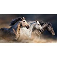 YCOLLC Lienzo de Pintura 70x140cm-Moderno Animales Carteles e Impresiones Arte de la Pared Pintura Decoraci&oacute;n de la Pared Caballos de pez Threebust Cuadros para Livingom Sin Marco